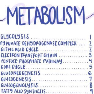 MCAT Metabolism Pathways PDF